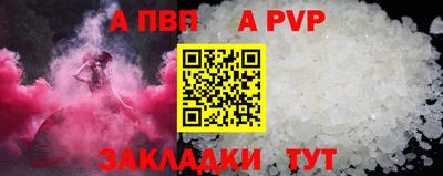 гашик Кингисепп