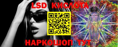 гашик Кингисепп
