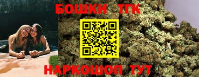 гашик Кингисепп