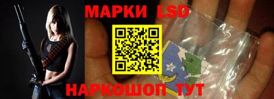 гашик Кингисепп