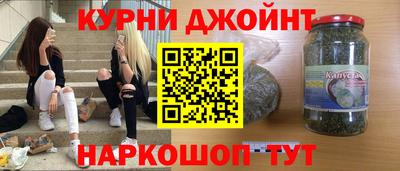 гашик Кингисепп