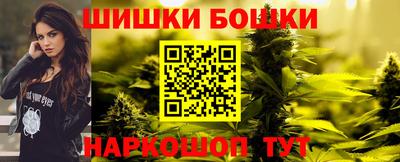 гашик Кингисепп