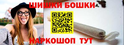 гашик Кингисепп