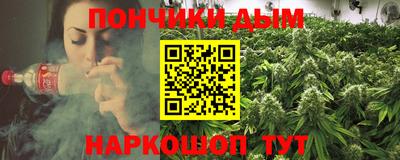 гашик Кингисепп