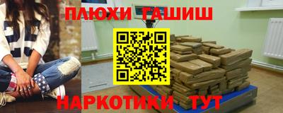 гашик Кингисепп