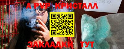 гашик Кингисепп