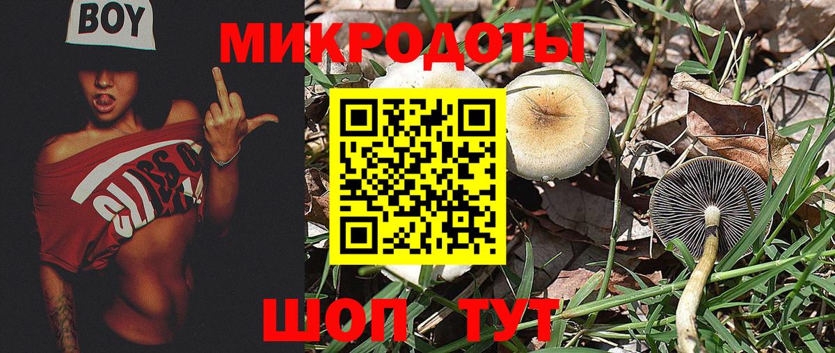 Евпатория  Галлюциногенные грибы Magic Shrooms  Вход с VPN  Галлюциногенные грибы Psilocybe 